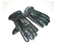 01446.jpg