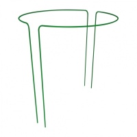 73862.jpg