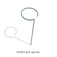 37081.jpg