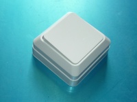 39225.JPG