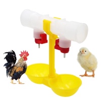 04636.jp
