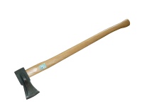 41174.JPG