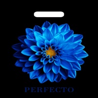 Пакет вырубной 370*300*0,090 Далия Соэкстр/25/400