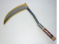 37187.JPG