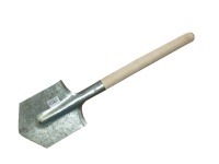 37195.JPG