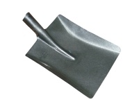 37155.JPG