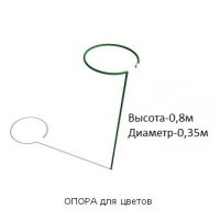 66361.jpg