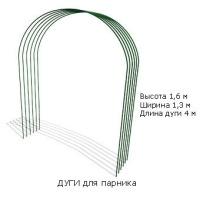 37700.jpg