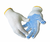 02929.jpg