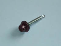49077.JPG