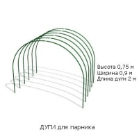 37702.jpg